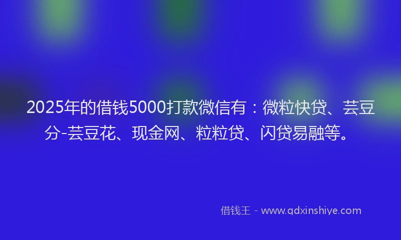 2025年的借钱5000打款微信有：微粒快贷、芸豆分-芸豆花、现金网、粒粒贷、闪贷易融等。