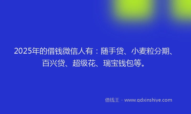 2025年的借钱微信人有：随手贷、小麦粒分期、百兴贷、超级花、瑞宝钱包等。