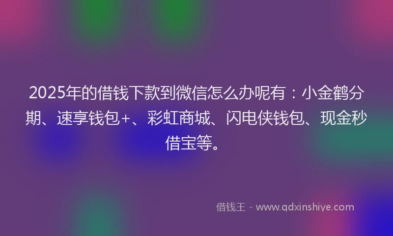 2025年的借钱下款到微信怎么办呢有：小金鹤分期、速享钱包+、彩虹商城、闪电侠钱包、现金秒借宝等。