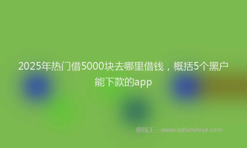 2025年热门借5000块去哪里借钱，概括5个黑户能下款的app