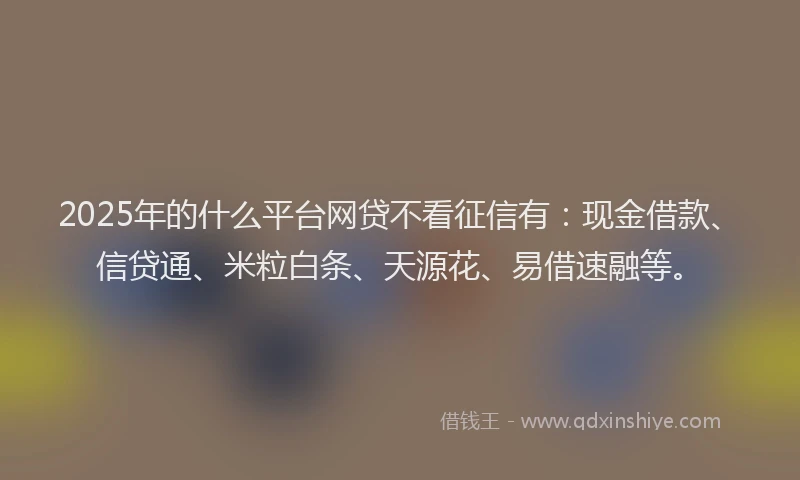 2025年的什么平台网贷不看征信有：现金借款、信贷通、米粒白条、天源花、易借速融等。