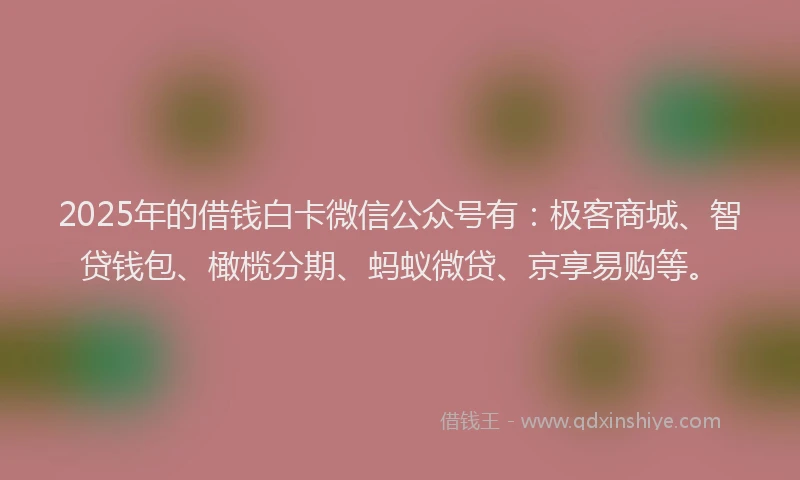 2025年的借钱白卡微信公众号有：极客商城、智贷钱包、橄榄分期、蚂蚁微贷、京享易购等。