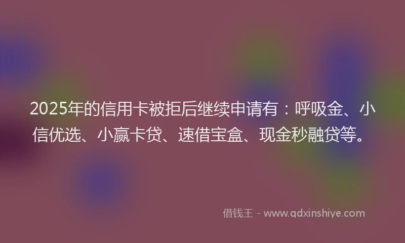 2025年的信用卡被拒后继续申请有：呼吸金、小信优选、小赢卡贷、速借宝盒、现金秒融贷等。