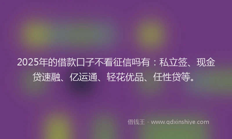 2025年的借款口子不看征信吗有：私立签、现金贷速融、亿运通、轻花优品、任性贷等。