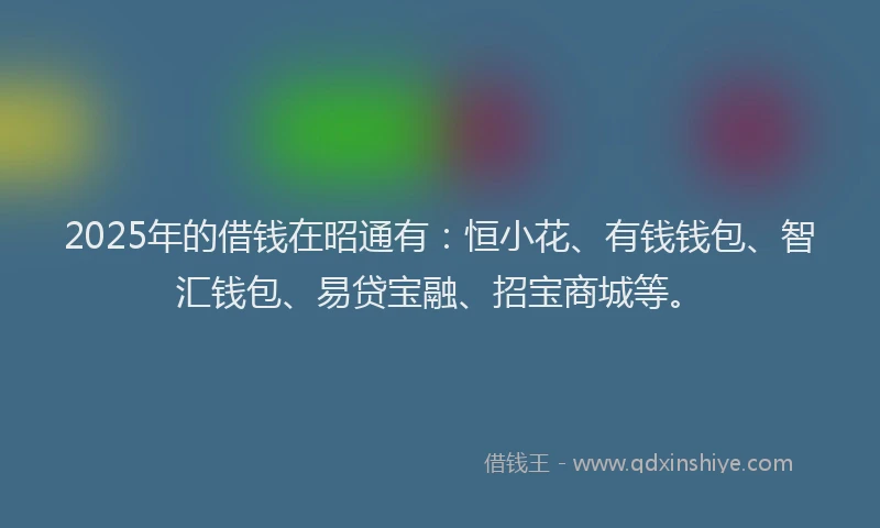 2025年的借钱在昭通有：恒小花、有钱钱包、智汇钱包、易贷宝融、招宝商城等。