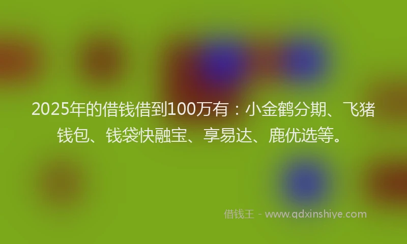 2025年的借钱借到100万有：小金鹤分期、飞猪钱包、钱袋快融宝、享易达、鹿优选等。