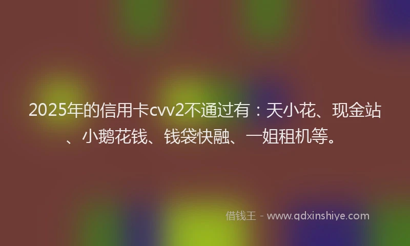 2025年的信用卡cvv2不通过有：天小花、现金站、小鹅花钱、钱袋快融、一姐租机等。