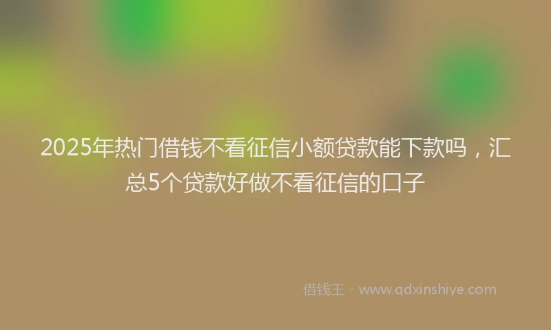 2025年热门借钱不看征信小额贷款能下款吗，汇总5个贷款好做不看征信的口子