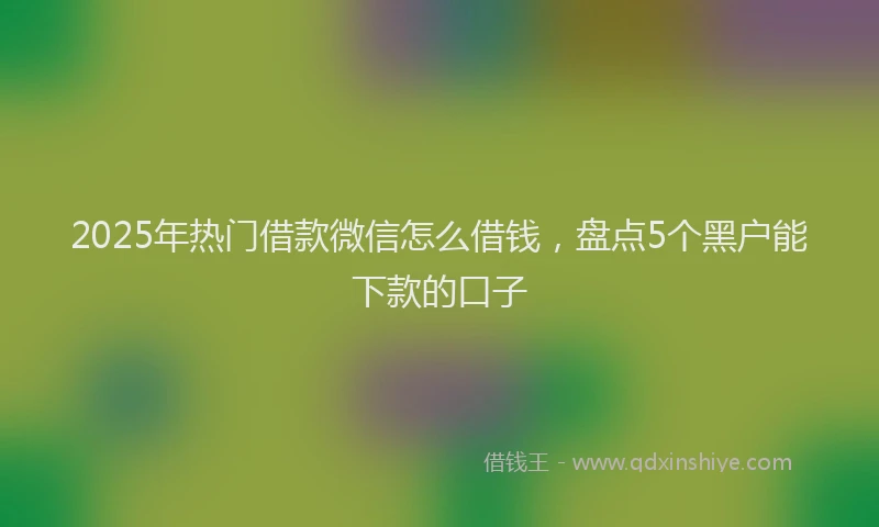 2025年热门借款微信怎么借钱，盘点5个黑户能下款的口子