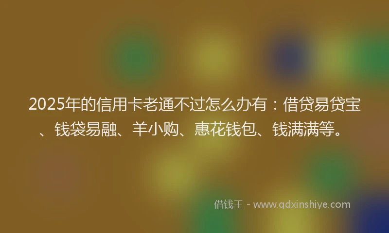 2025年的信用卡老通不过怎么办有：借贷易贷宝、钱袋易融、羊小购、惠花钱包、钱满满等。