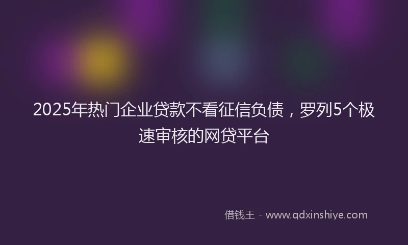 2025年热门企业贷款不看征信负债，罗列5个极速审核的网贷平台