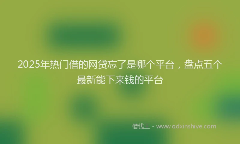 2025年热门借的网贷忘了是哪个平台，盘点五个最新能下来钱的平台