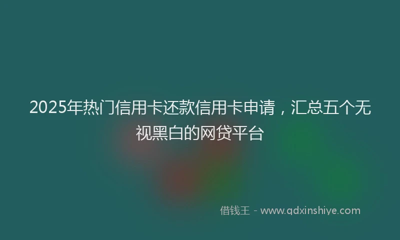 2025年热门信用卡还款信用卡申请，汇总五个无视黑白的网贷平台
