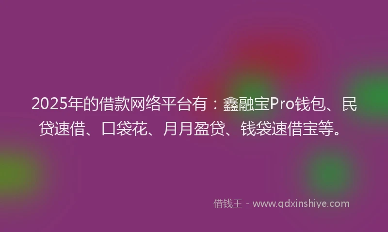 2025年的借款网络平台有:鑫融宝Pro钱包、民贷速借、口袋花、月月盈贷、钱袋速借宝等。