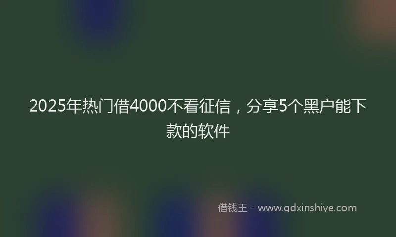 2025年热门借4000不看征信，分享5个黑户能下款的软件
