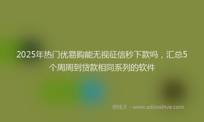 2025年热门优易购能无视征信秒下款吗，汇总5个周周到贷款相同系列的软件