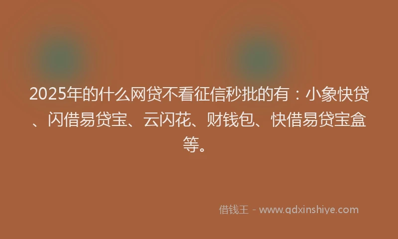 2025年的什么网贷不看征信秒批的有：小象快贷、闪借易贷宝、云闪花、财钱包、快借易贷宝盒等。