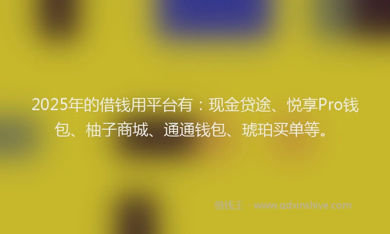 2025年的借钱用平台有：现金贷途、悦享Pro钱包、柚子商城、通通钱包、琥珀买单等。
