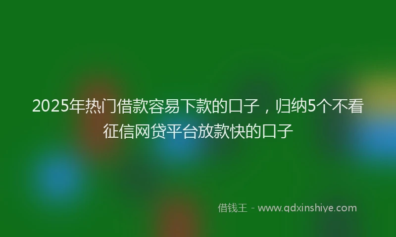 2025年热门借款容易下款的口子，归纳5个不看征信网贷平台放款快的口子