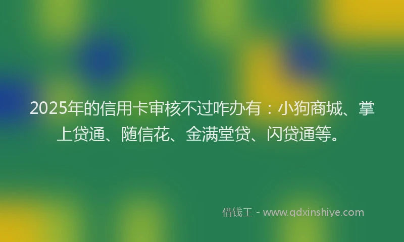 2025年的信用卡审核不过咋办有：小狗商城、掌上贷通、随信花、金满堂贷、闪贷通等。