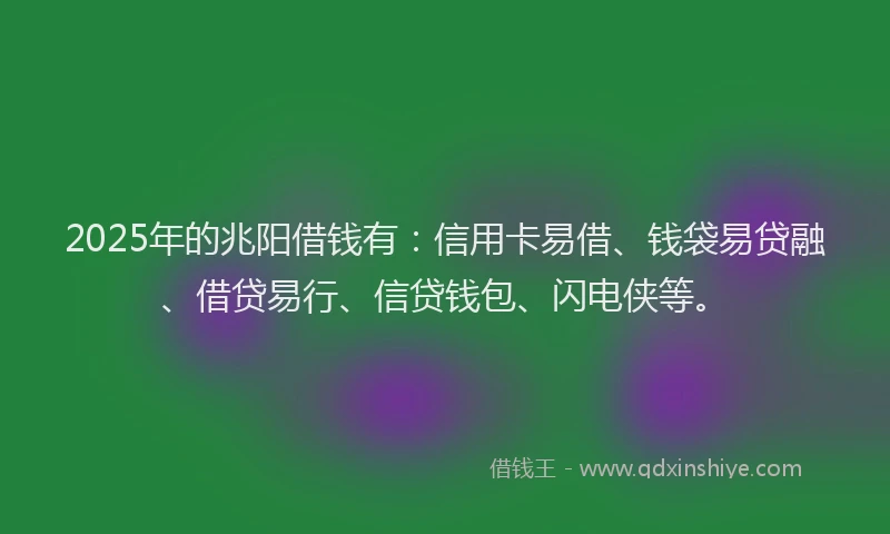2025年的兆阳借钱有：信用卡易借、钱袋易贷融、借贷易行、信贷钱包、闪电侠等。