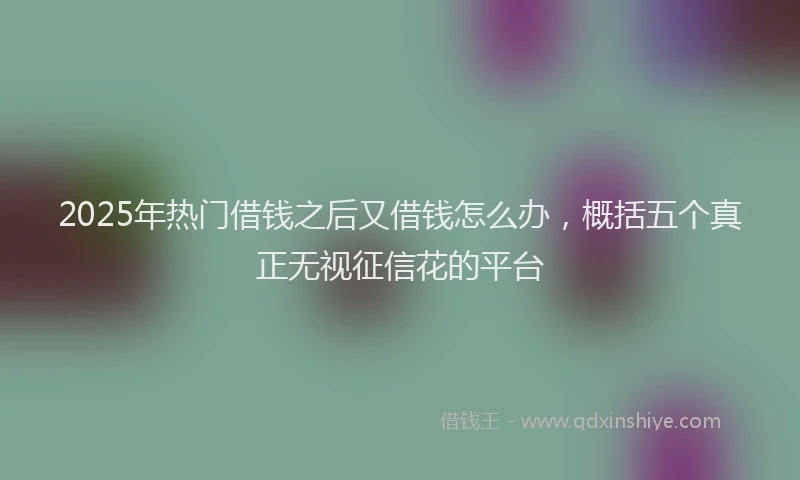 2025年热门借钱之后又借钱怎么办，概括五个真正无视征信花的平台