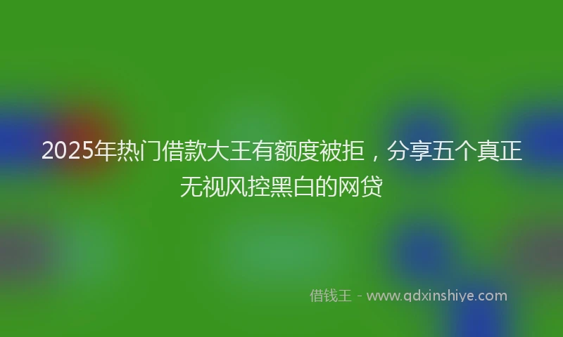 2025年热门借款大王有额度被拒，分享五个真正无视风控黑白的网贷