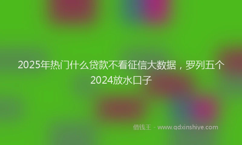 2025年热门什么贷款不看征信大数据，罗列五个2024放水口子