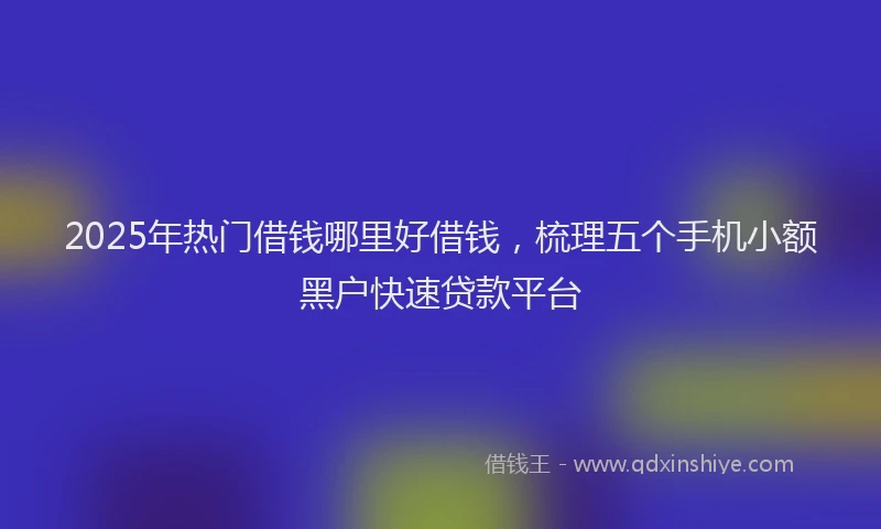 2025年热门借钱哪里好借钱，梳理五个手机小额黑户快速贷款平台