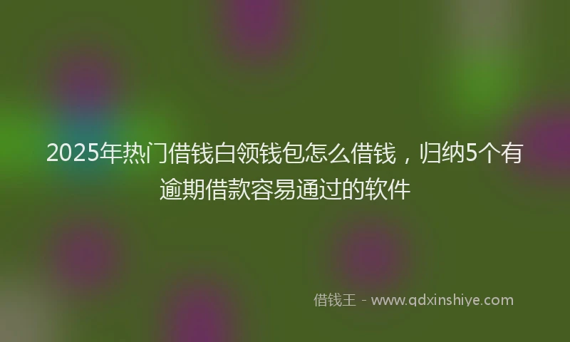 2025年热门借钱白领钱包怎么借钱，归纳5个有逾期借款容易通过的软件