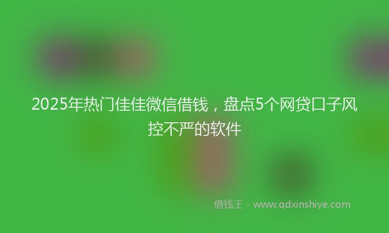 2025年热门佳佳微信借钱，盘点5个网贷口子风控不严的软件