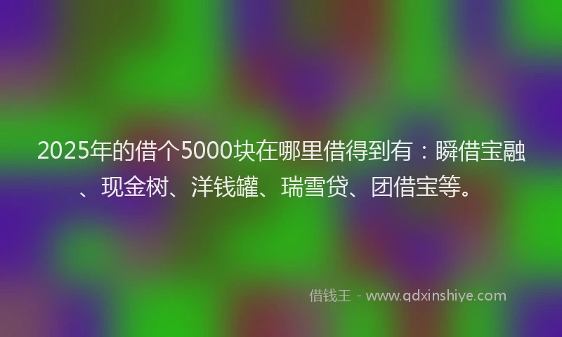 2025年的借个5000块在哪里借得到有：瞬借宝融、现金树、洋钱罐、瑞雪贷、团借宝等。