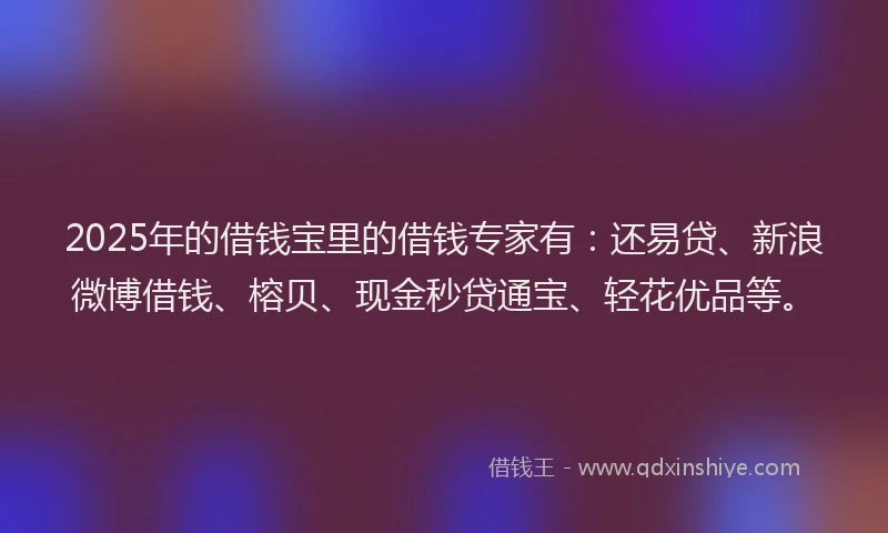 2025年的借钱宝里的借钱专家有：还易贷、新浪微博借钱、榕贝、现金秒贷通宝、轻花优品等。