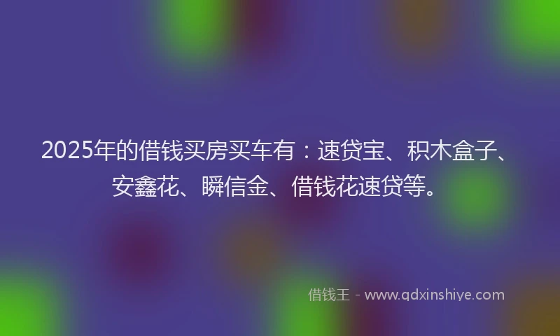 2025年的借钱买房买车有：速贷宝、积木盒子、安鑫花、瞬信金、借钱花速贷等。