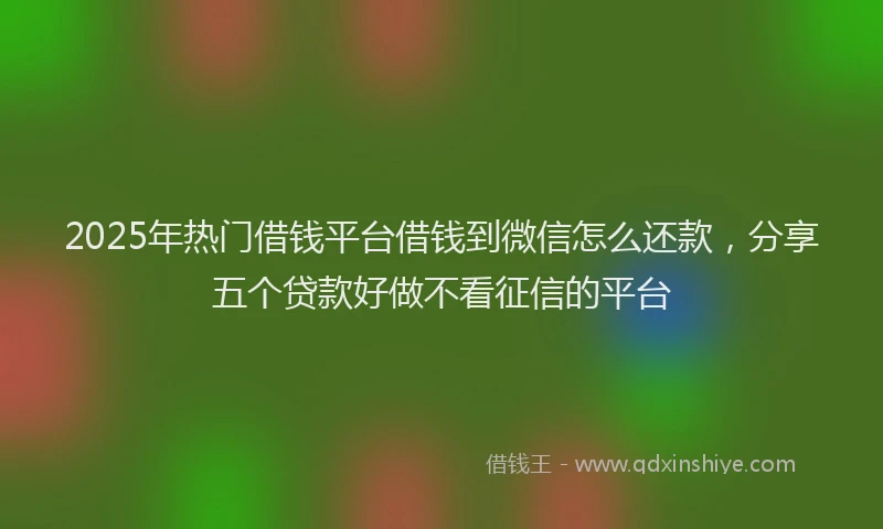 2025年热门借钱平台借钱到微信怎么还款，分享五个贷款好做不看征信的平台