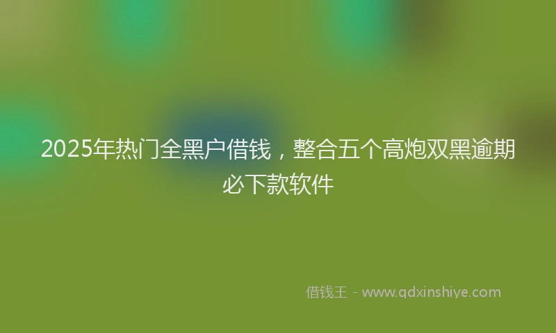 2025年热门全黑户借钱，整合五个高炮双黑逾期必下款软件