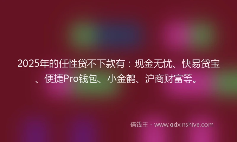 2025年的任性贷不下款有：现金无忧、快易贷宝、便捷Pro钱包、小金鹤、沪商财富等。