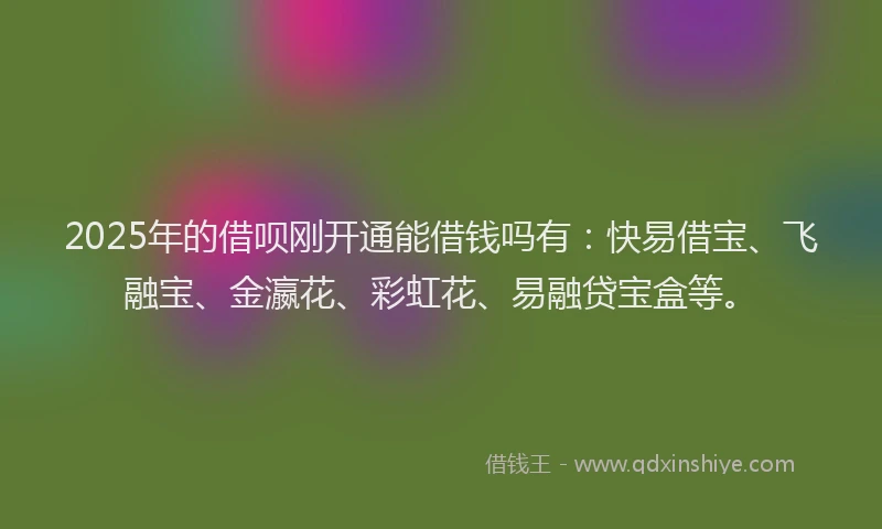 2025年的借呗刚开通能借钱吗有：快易借宝、飞融宝、金瀛花、彩虹花、易融贷宝盒等。