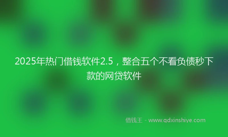 2025年热门借钱软件2.5，整合五个不看负债秒下款的网贷软件