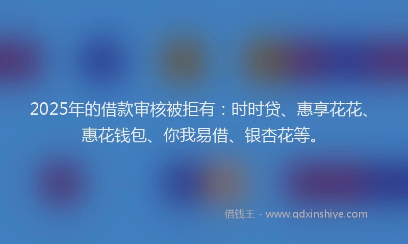 2025年的借款审核被拒有：时时贷、惠享花花、惠花钱包、你我易借、银杏花等。