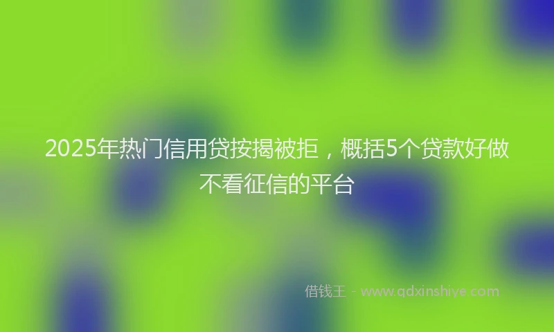2025年热门信用贷按揭被拒，概括5个贷款好做不看征信的平台