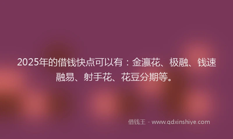 2025年的借钱快点可以有：金瀛花、极融、钱速融易、射手花、花豆分期等。