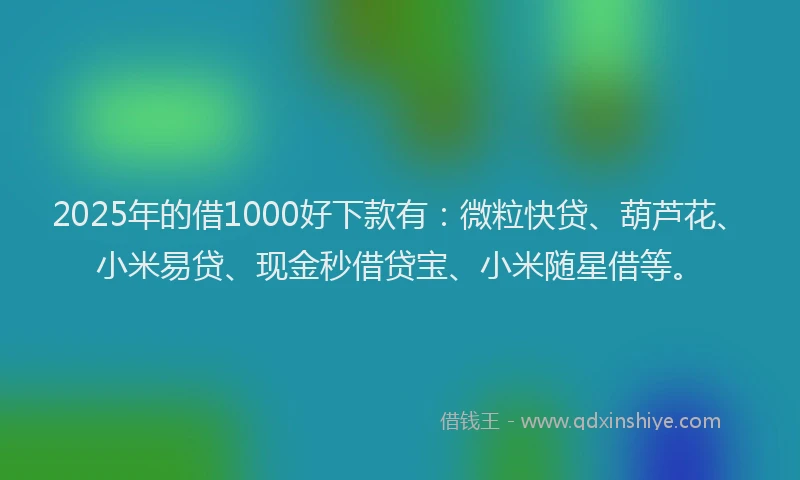 2025年的借1000好下款有：微粒快贷、葫芦花、小米易贷、现金秒借贷宝、小米随星借等。