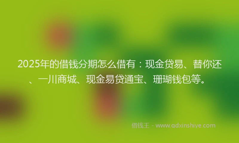 2025年的借钱分期怎么借有：现金贷易、替你还、一川商城、现金易贷通宝、珊瑚钱包等。