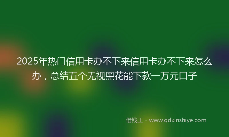 2025年热门信用卡办不下来信用卡办不下来怎么办，总结五个无视黑花能下款一万元口子