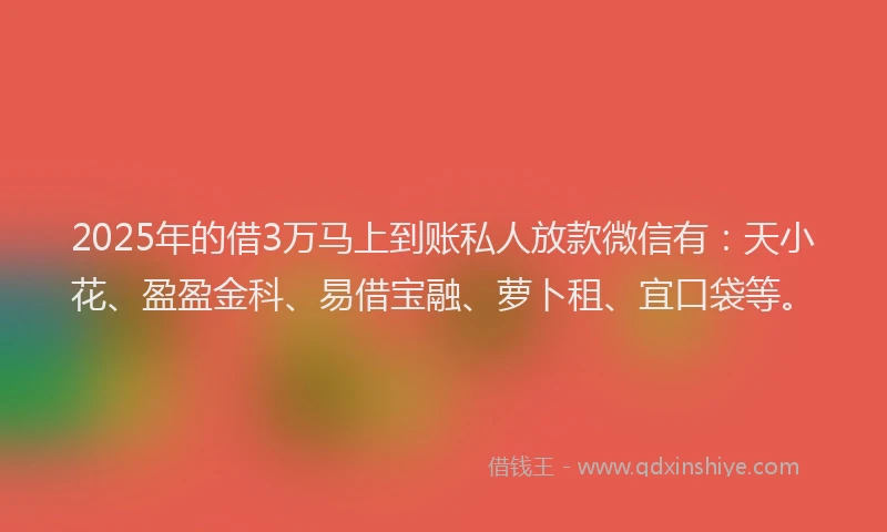 2025年的借3万马上到账私人放款微信有：天小花、盈盈金科、易借宝融、萝卜租、宜口袋等。
