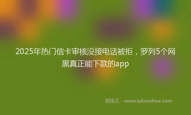 2025年热门信卡审核没接电话被拒，罗列5个网黑真正能下款的app