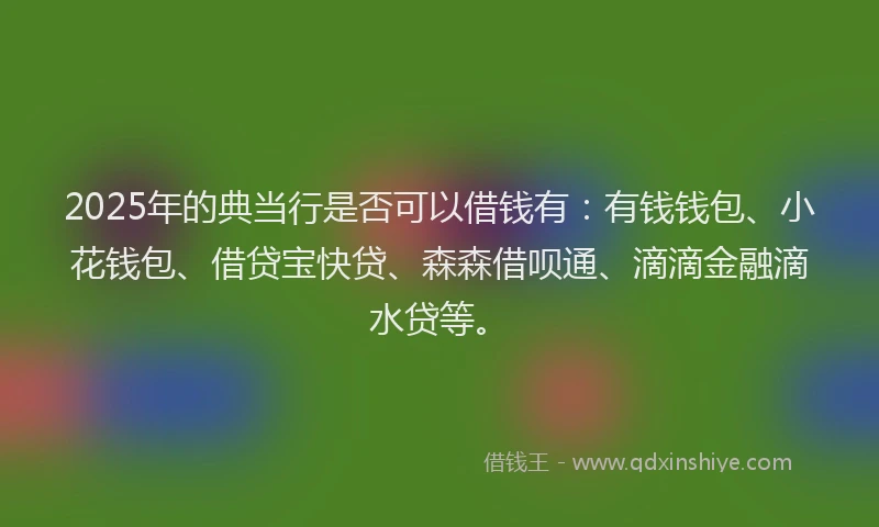 2025年的典当行是否可以借钱有：有钱钱包、小花钱包、借贷宝快贷、森森借呗通、滴滴金融滴水贷等。