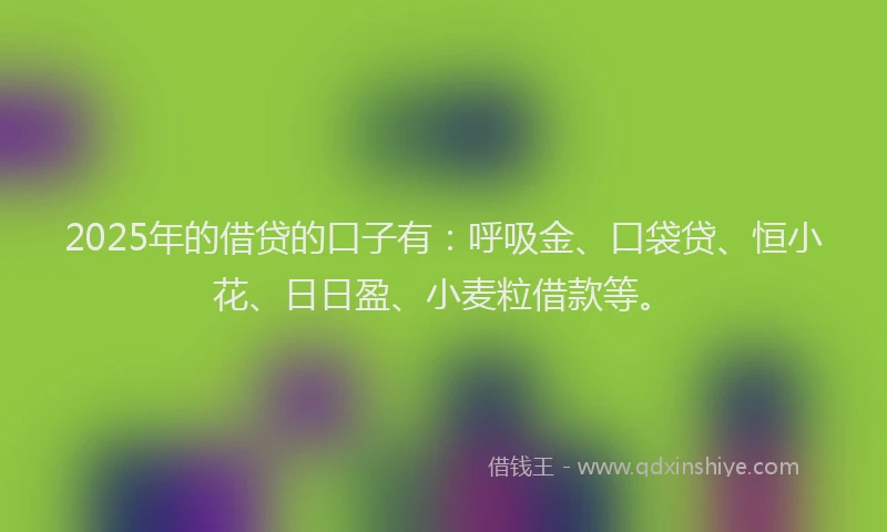 2025年的借贷的口子有：呼吸金、口袋贷、恒小花、日日盈、小麦粒借款等。