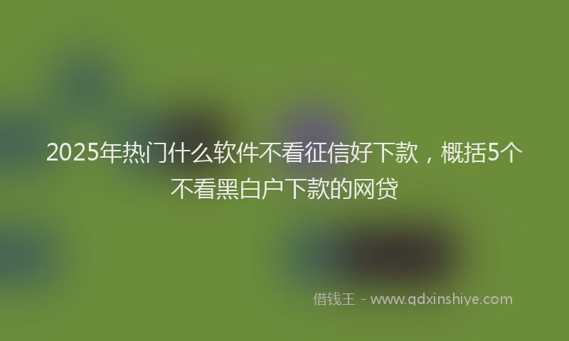 2025年热门什么软件不看征信好下款，概括5个不看黑白户下款的网贷